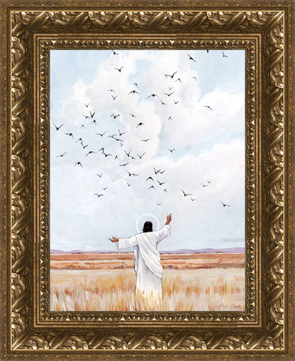 Consider The Birds in The Sky