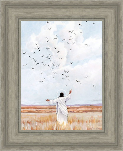 Consider The Birds in The Sky