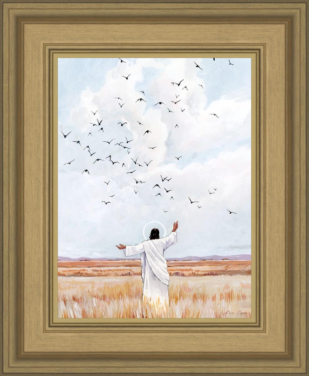 Consider The Birds in The Sky