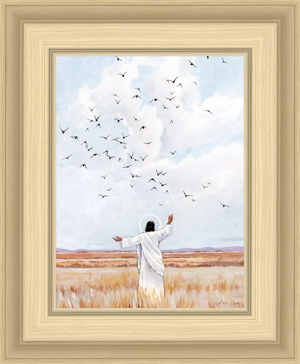 Consider The Birds in The Sky