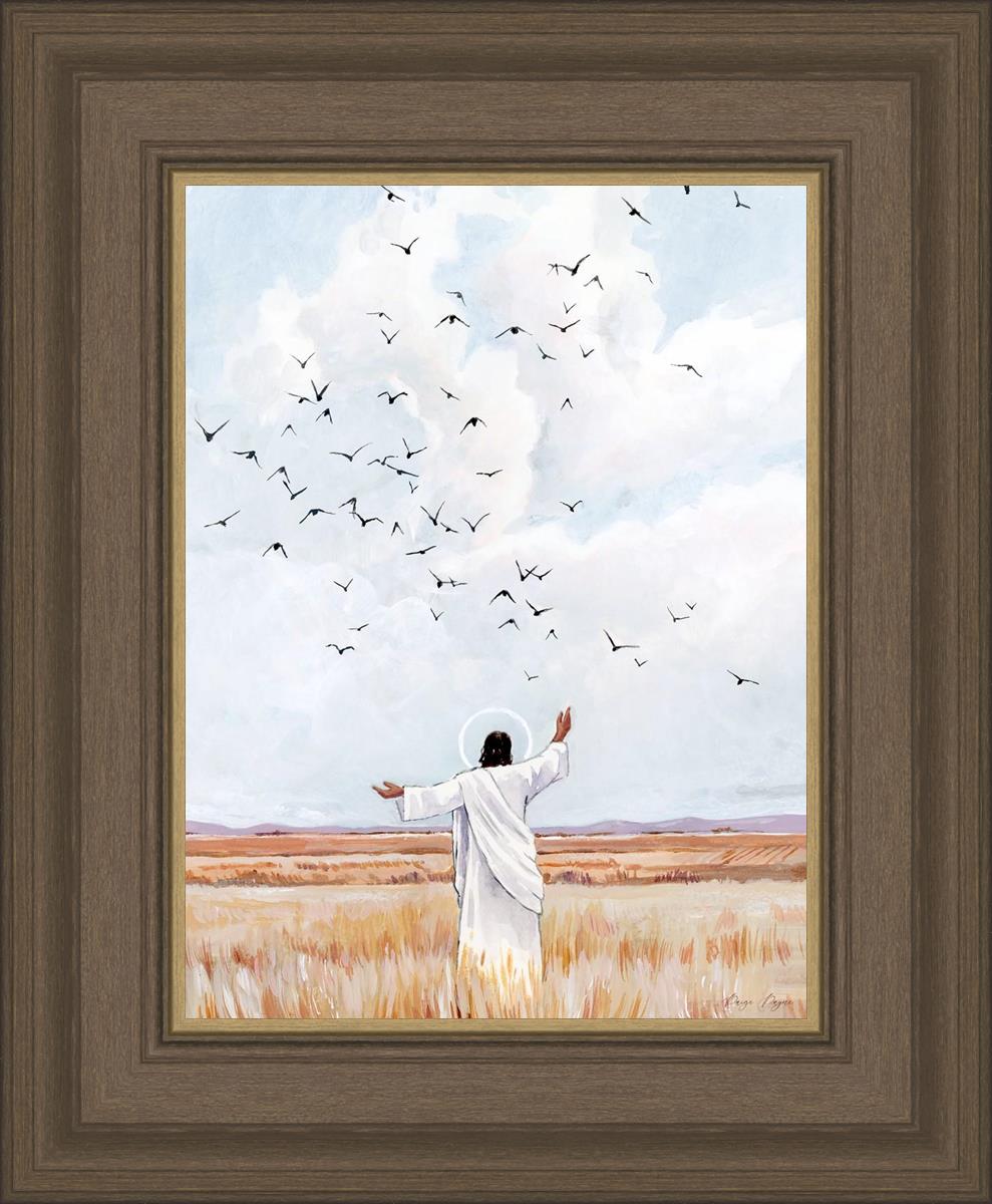 Consider The Birds in The Sky