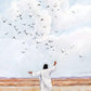 Consider The Birds in The Sky