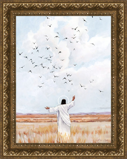 Consider The Birds in The Sky