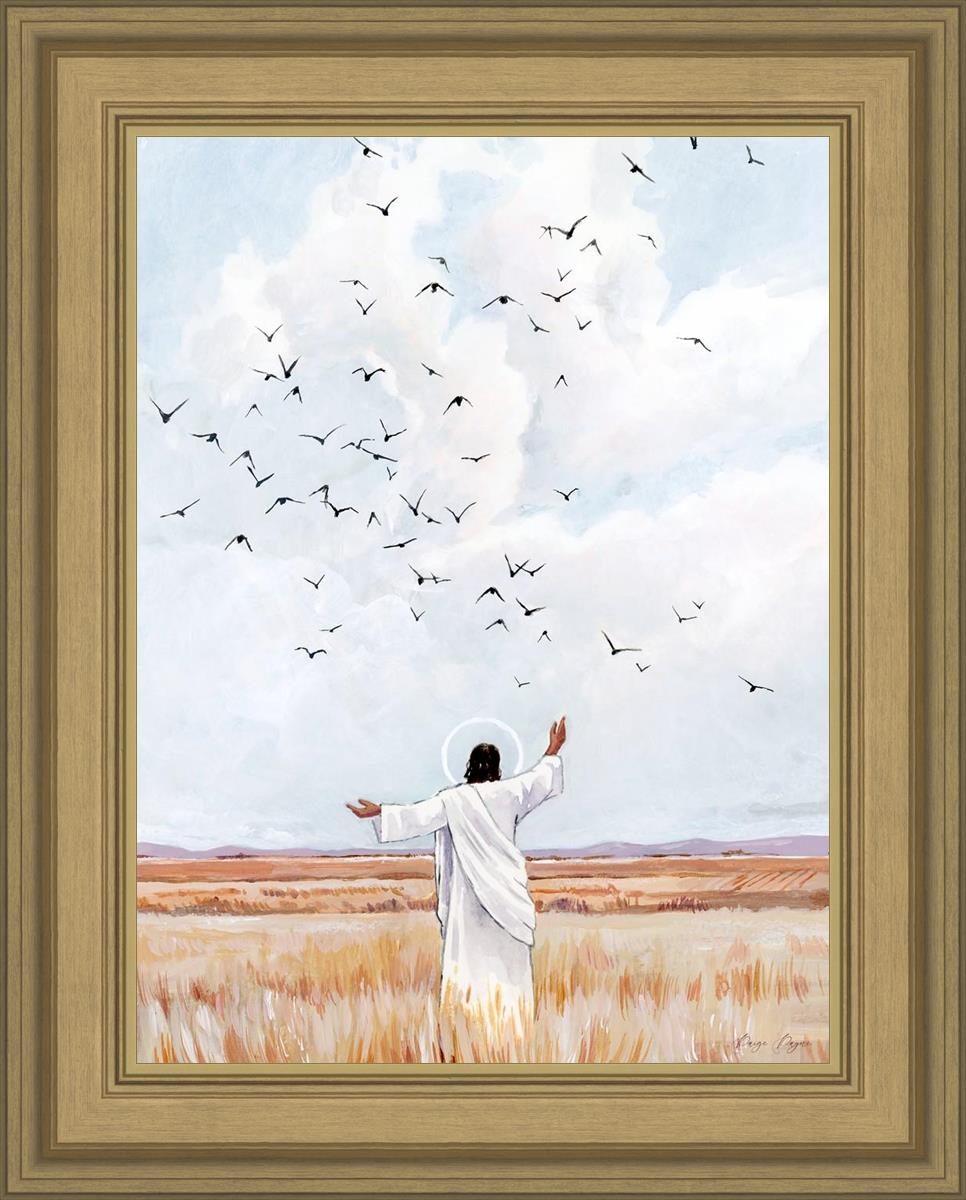Consider The Birds in The Sky