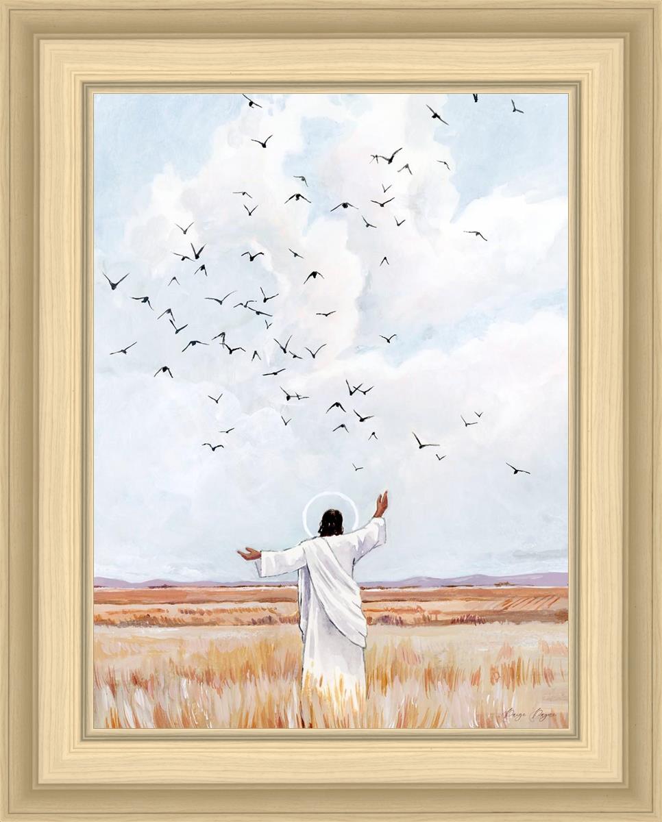 Consider The Birds in The Sky