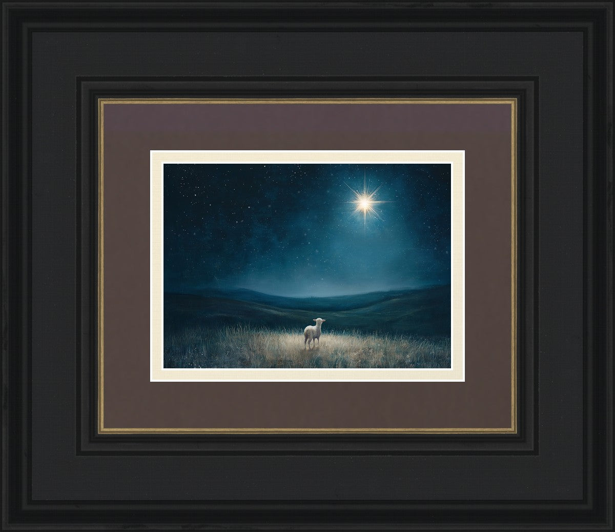 Star of Bethlehem