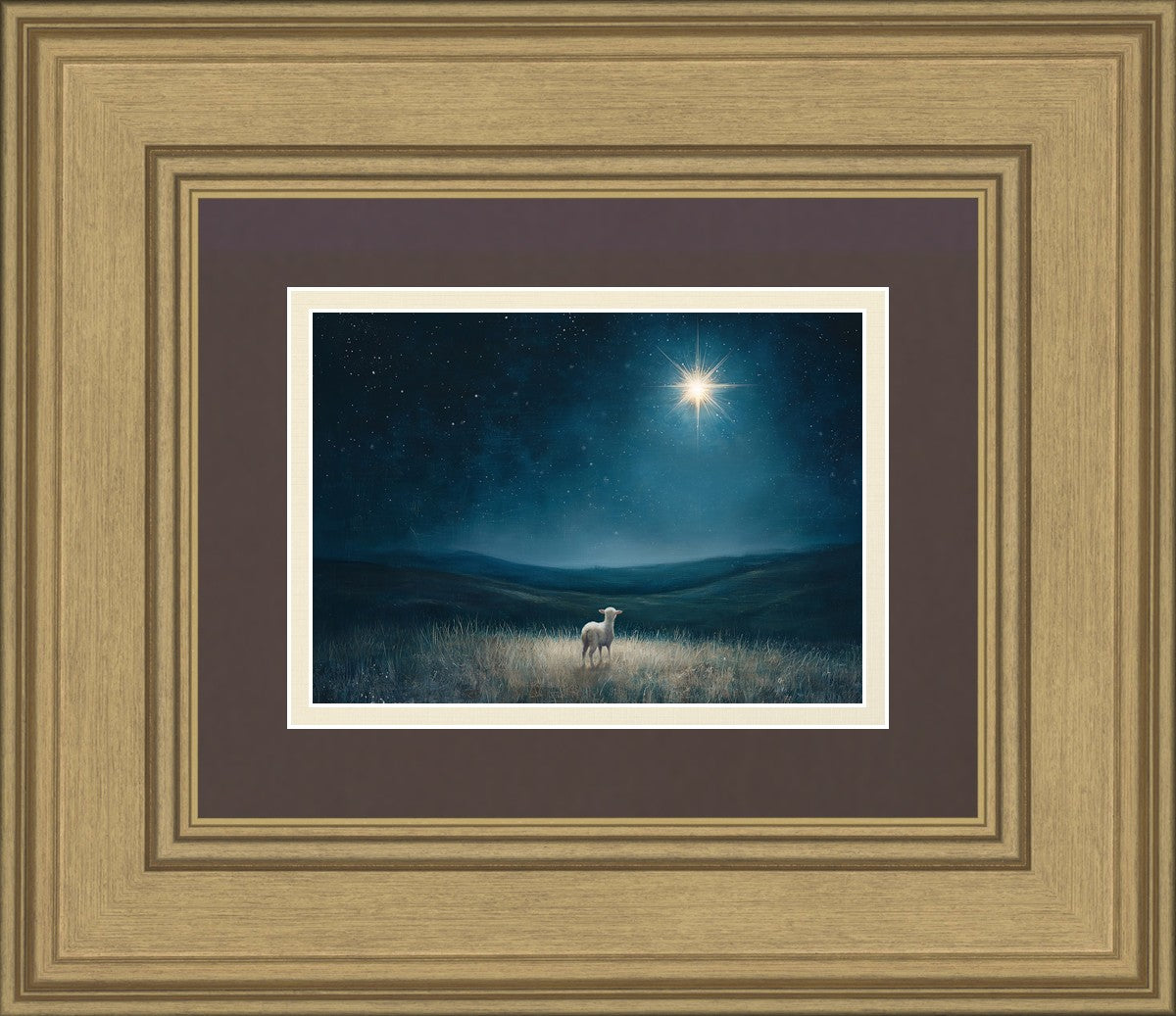 Star of Bethlehem