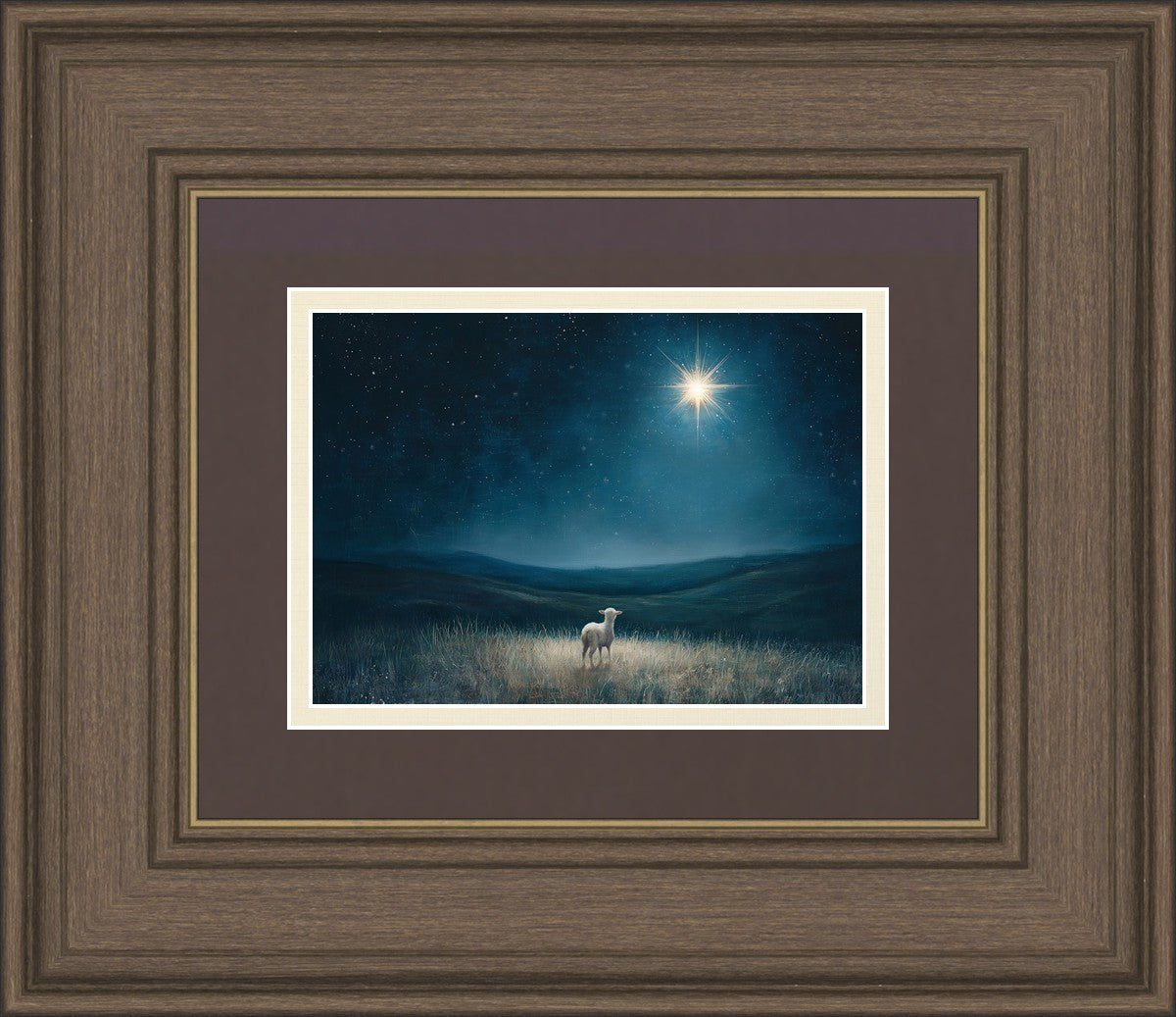 Star of Bethlehem
