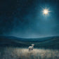 Star of Bethlehem