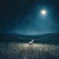 Star of Bethlehem