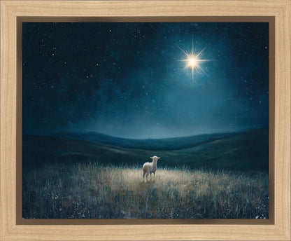 Star of Bethlehem