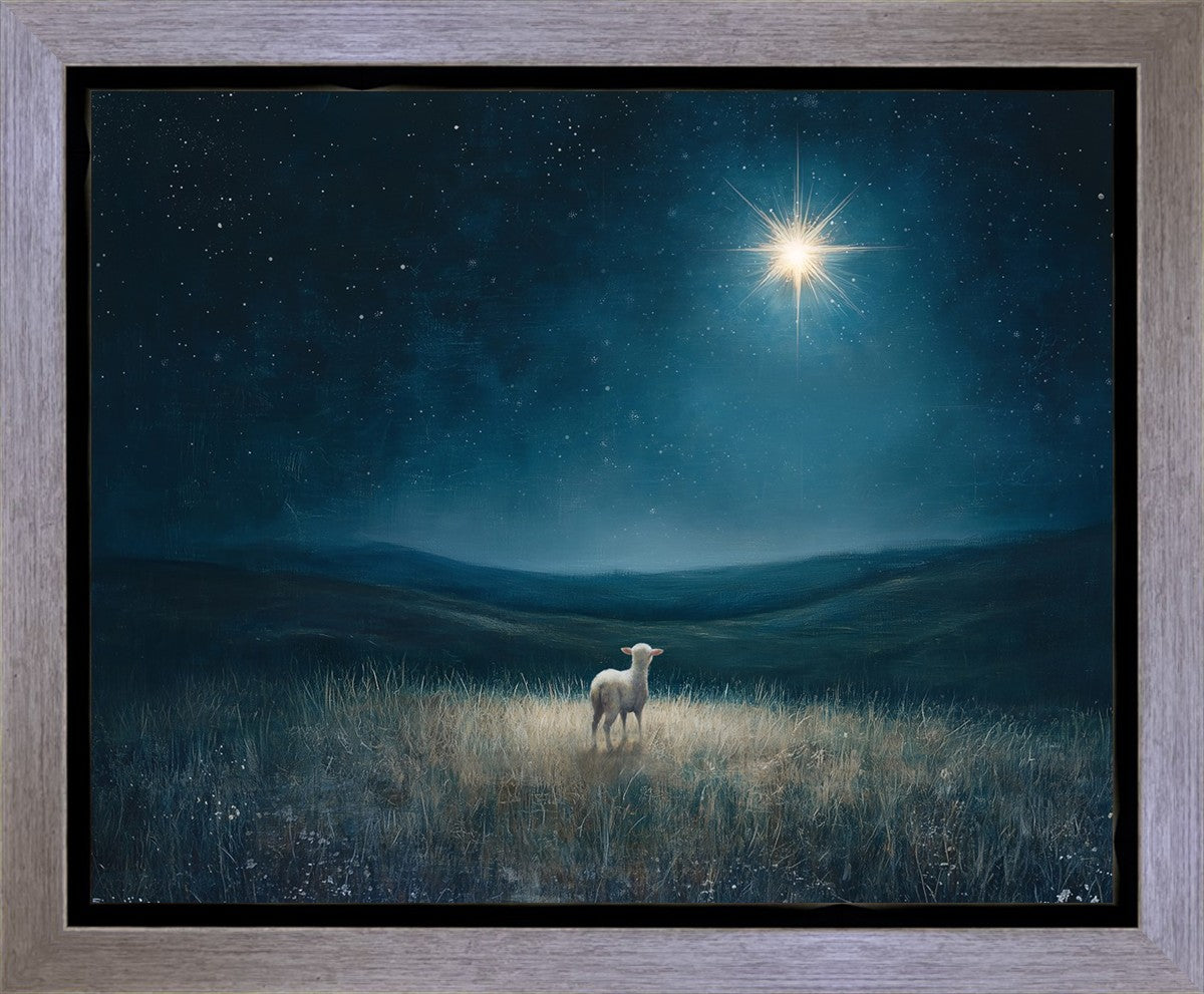 Star of Bethlehem Gallery Wrap