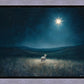 Star of Bethlehem