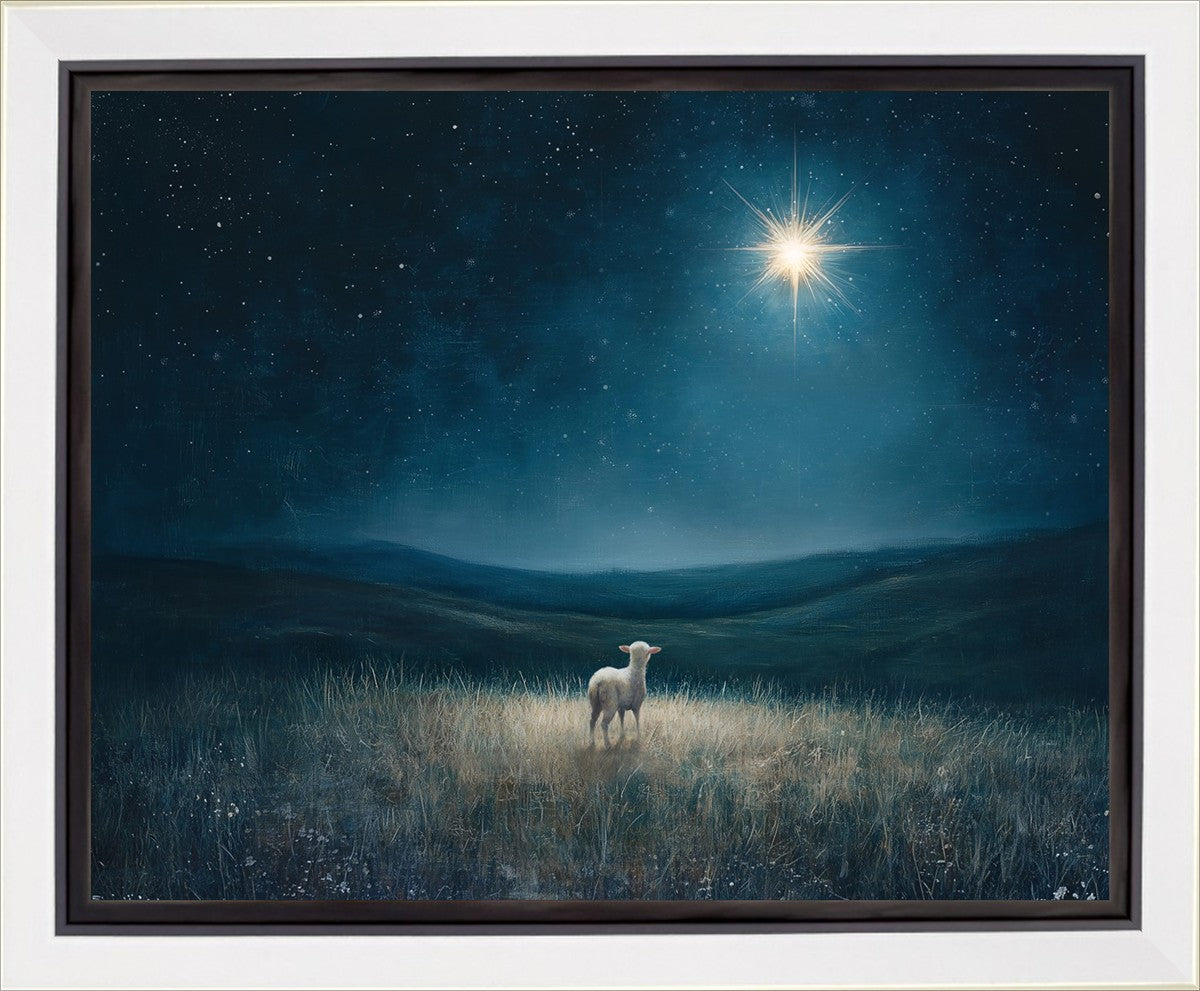 Star of Bethlehem Gallery Wrap