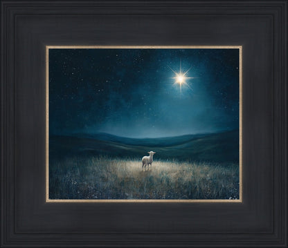 Star of Bethlehem