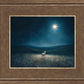 Star of Bethlehem