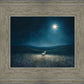 Star of Bethlehem
