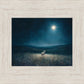 Star of Bethlehem