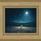 Star of Bethlehem