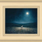 Star of Bethlehem