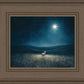 Star of Bethlehem