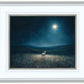 Star of Bethlehem