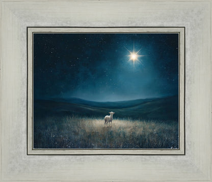 Star of Bethlehem