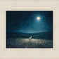 Star of Bethlehem