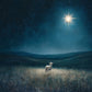 Star of Bethlehem