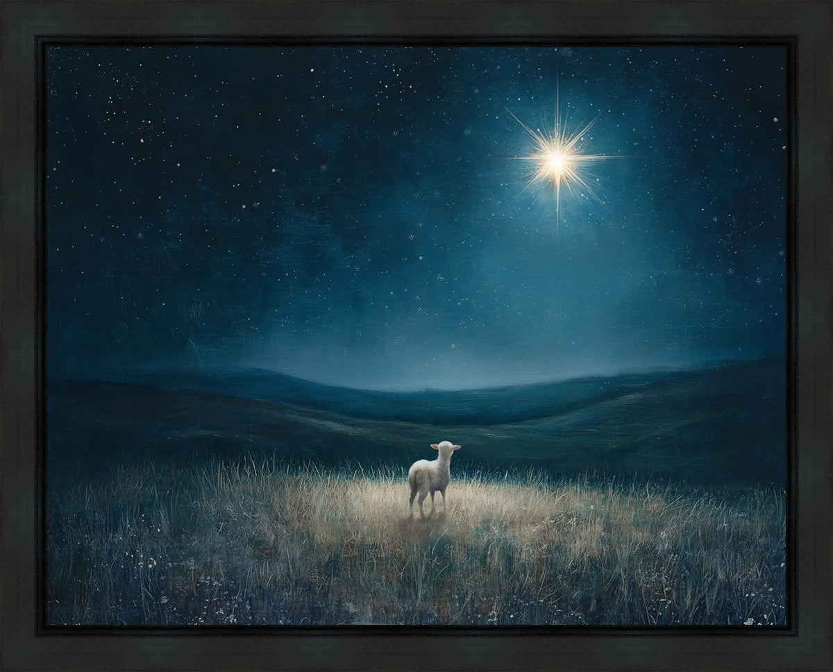Star of Bethlehem Gallery Wrap