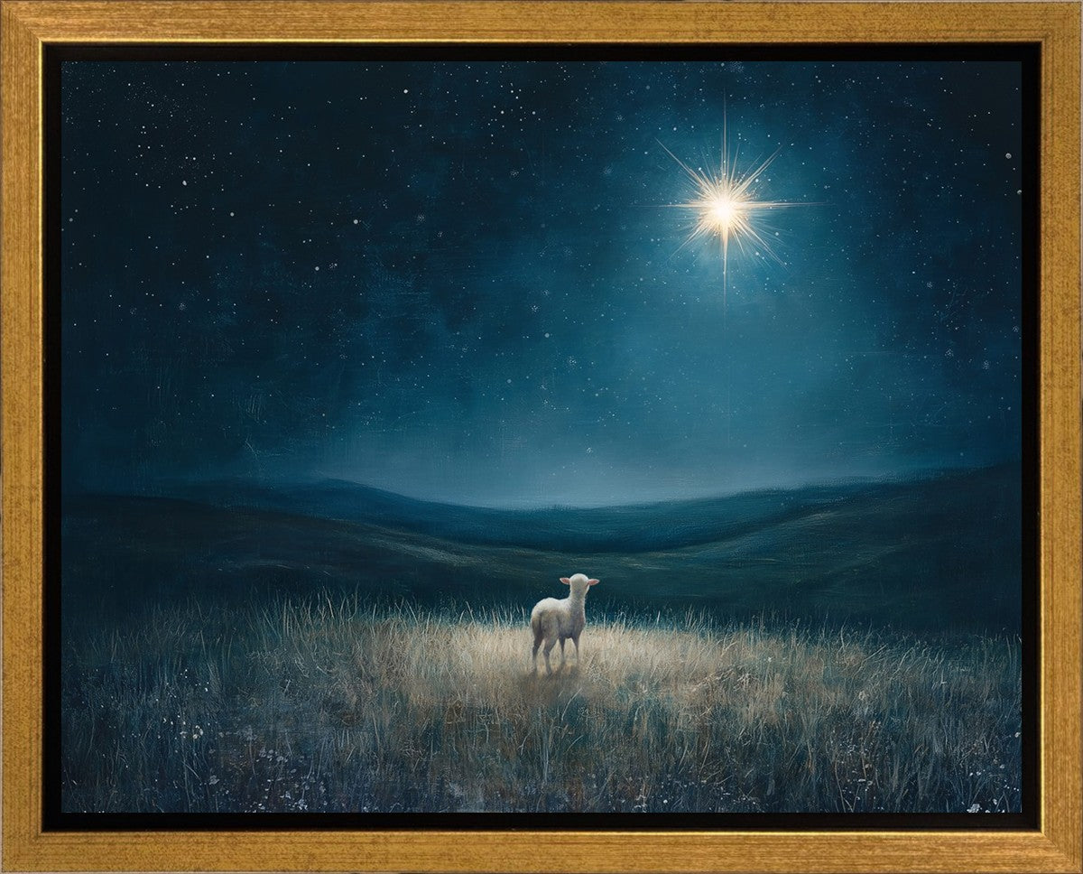 Star of Bethlehem Gallery Wrap
