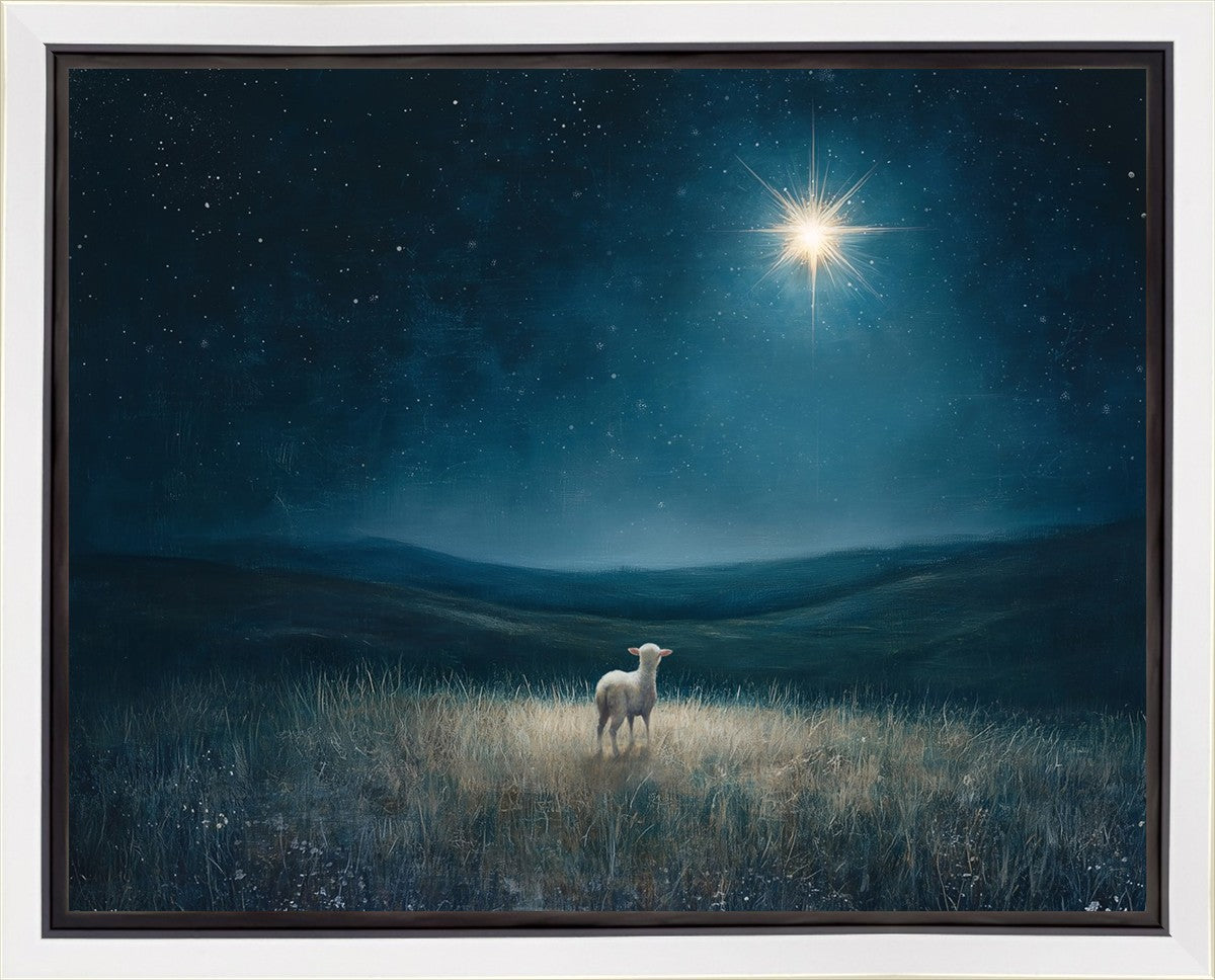 Star of Bethlehem Gallery Wrap
