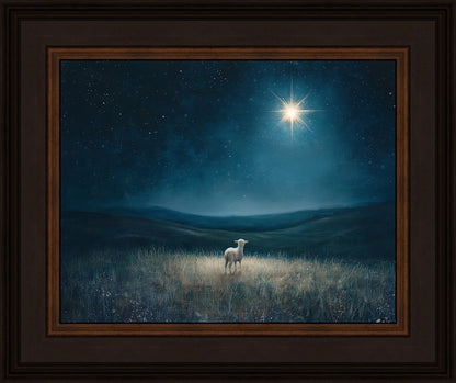 Star of Bethlehem