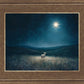 Star of Bethlehem