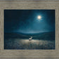 Star of Bethlehem