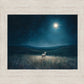 Star of Bethlehem
