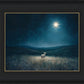 Star of Bethlehem