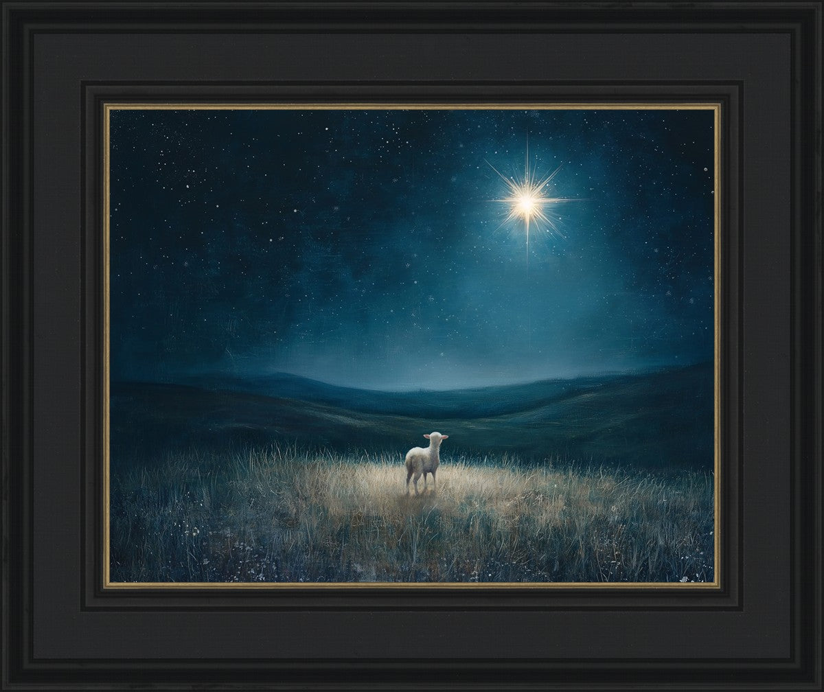 Star of Bethlehem