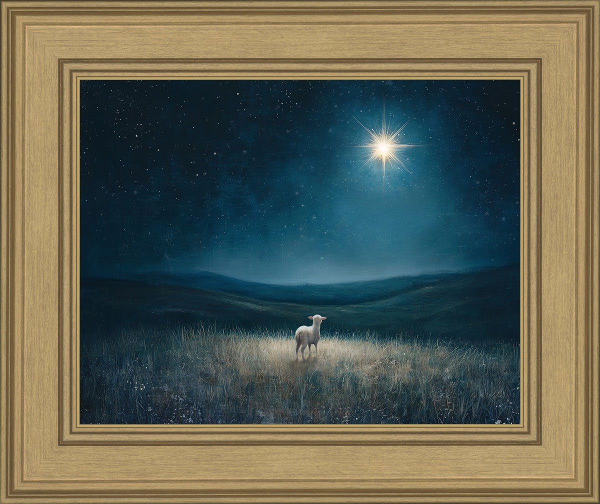 Star of Bethlehem