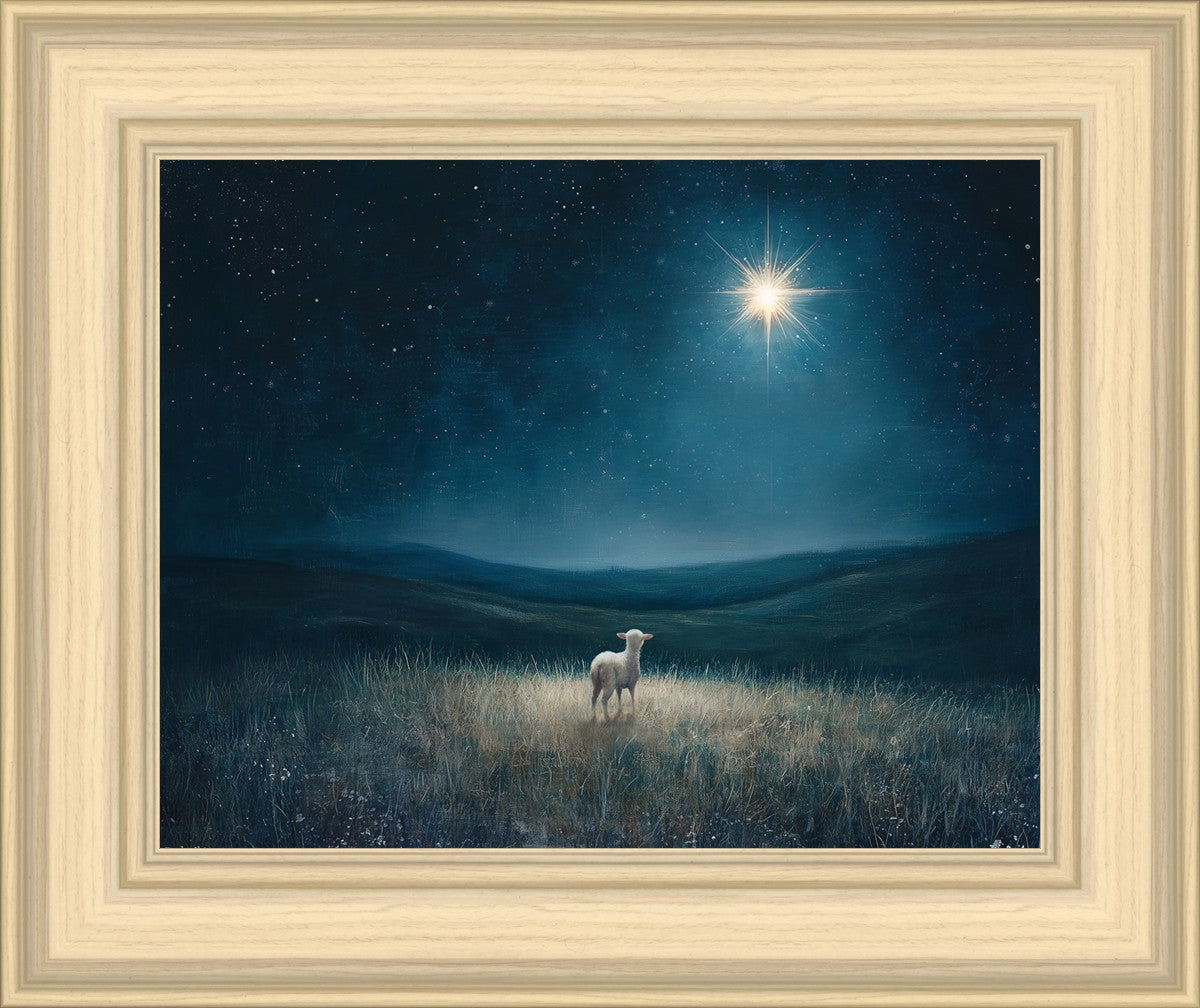 Star of Bethlehem
