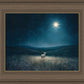 Star of Bethlehem