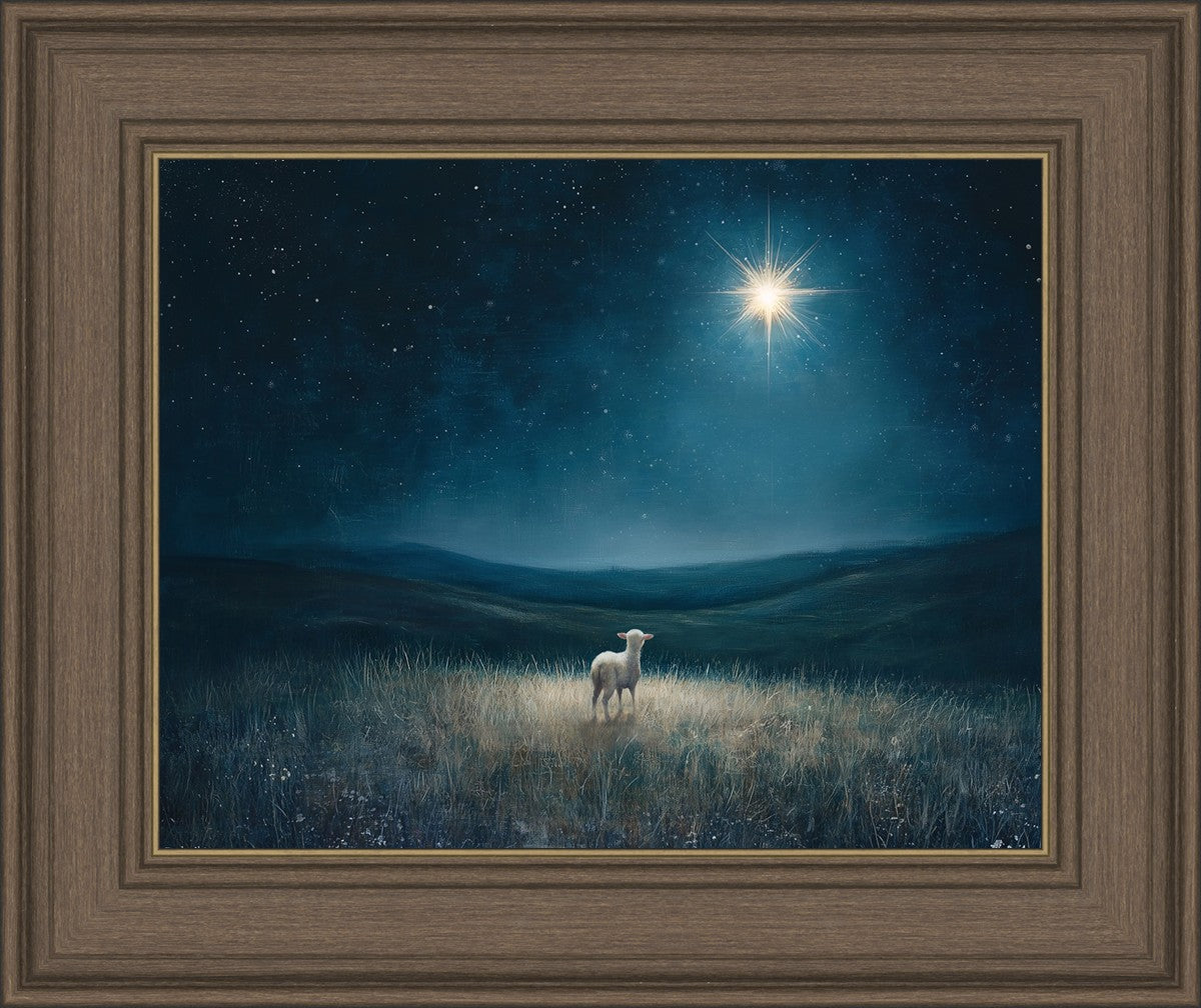 Star of Bethlehem