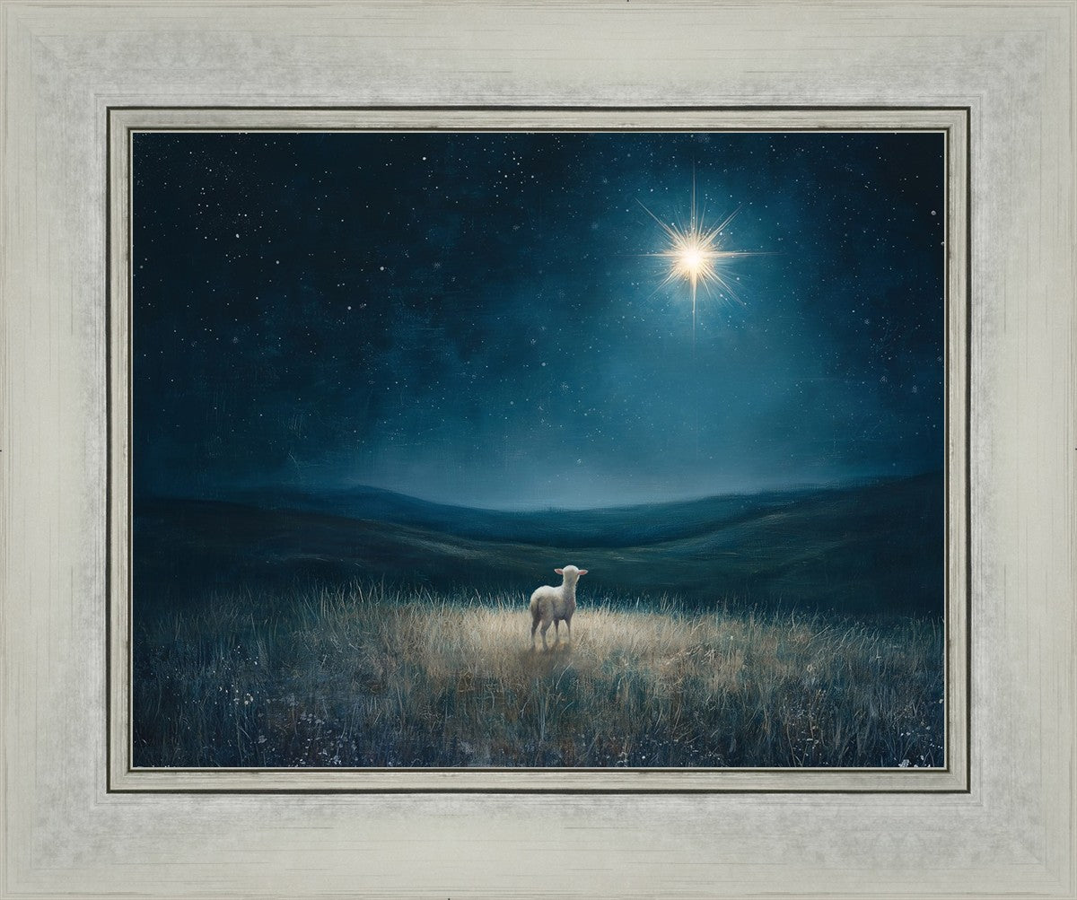 Star of Bethlehem