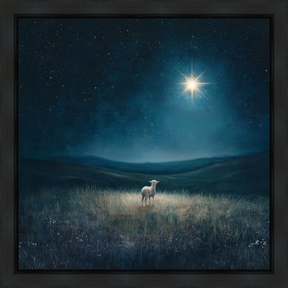Star of Bethlehem
