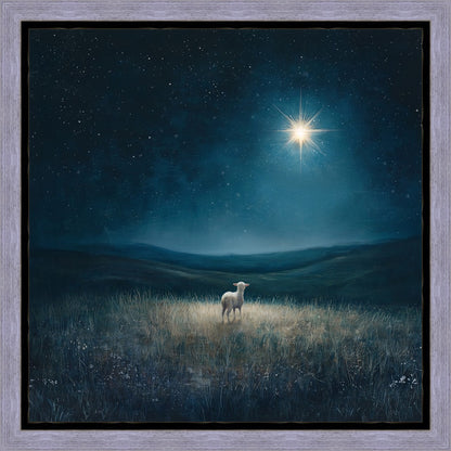 Star of Bethlehem