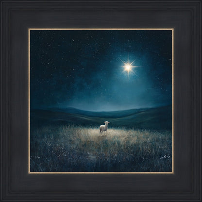 Star of Bethlehem