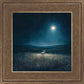 Star of Bethlehem