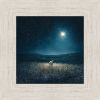 Star of Bethlehem