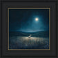 Star of Bethlehem
