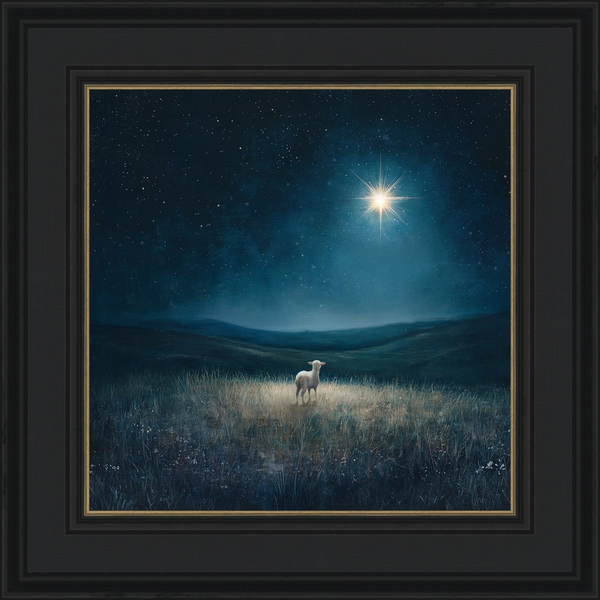 Star of Bethlehem